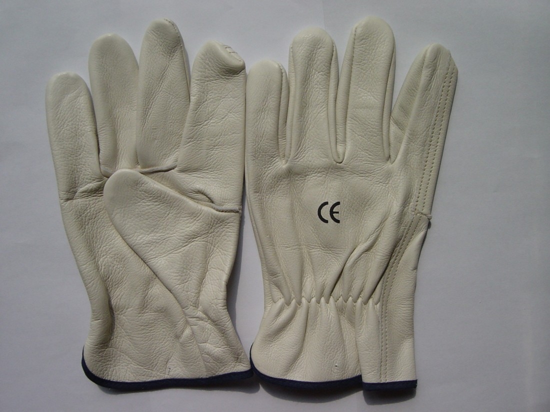 C111-WT