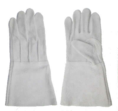JCS013