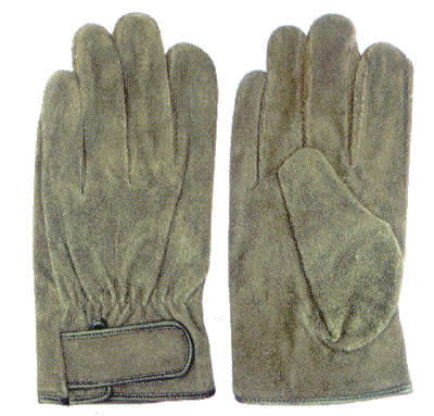 JCS017